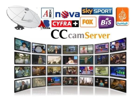 Serveur satellite de Cccam de cline la haute définition fiable globale d'Iptv d'abonnement de 1 an